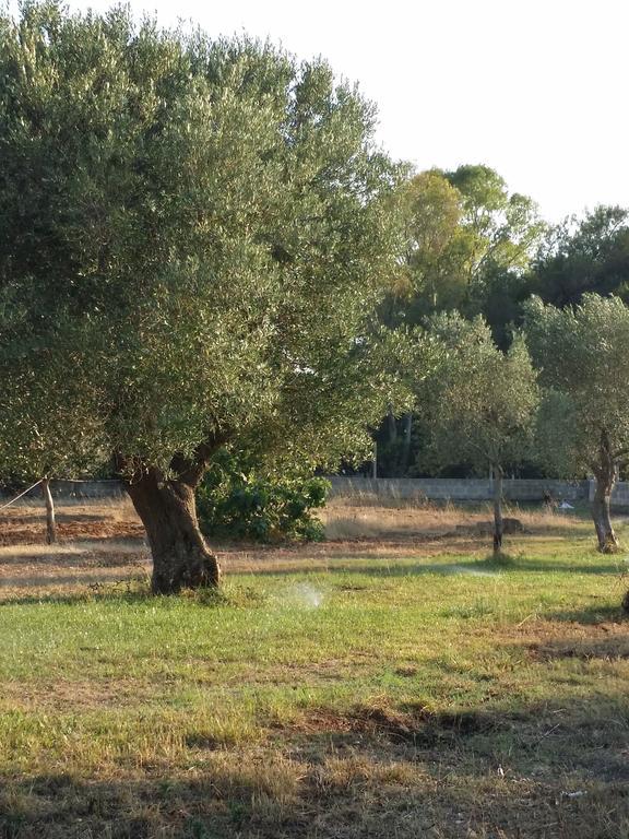 Agriturismo "Terra D'Ulivi" Porto Cesareo Exterior photo